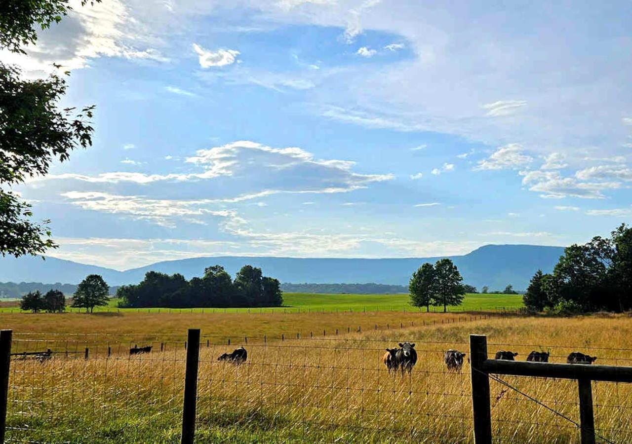 Piney Hill B&B And Cottages Luray Eksteriør bilde