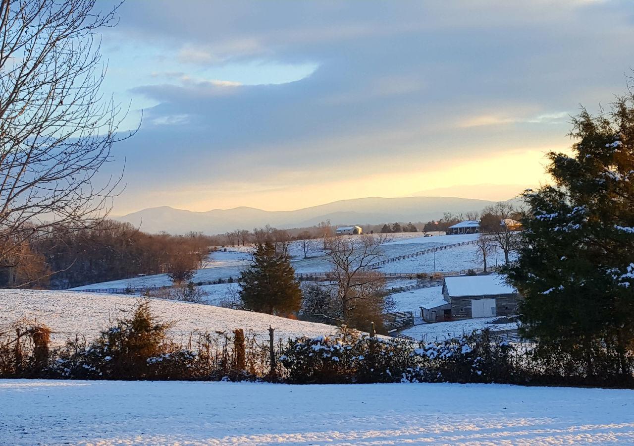 Piney Hill B&B And Cottages Luray Eksteriør bilde