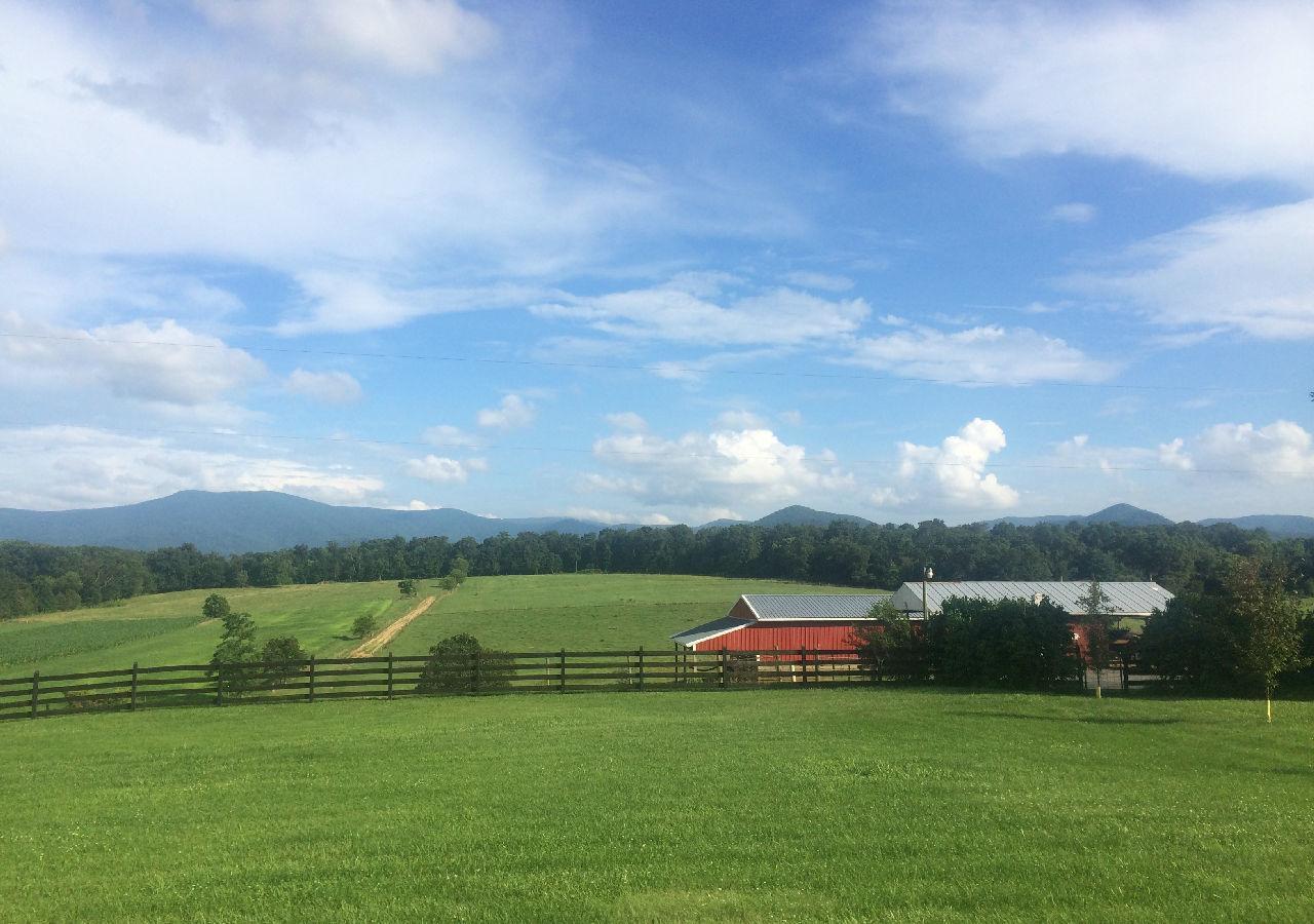 Piney Hill B&B And Cottages Luray Eksteriør bilde